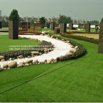 308814-XG Landscape Artificial Grass supplier