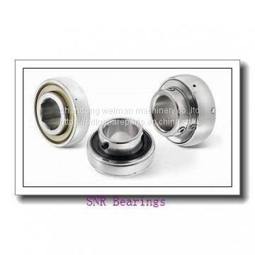 SNR Bearing