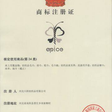HEBEI APICE TEXTILE CO.,LTD
