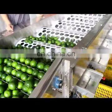 New Type Stainless Steel Apple Grading Machine Fruit Sorting Procession Line