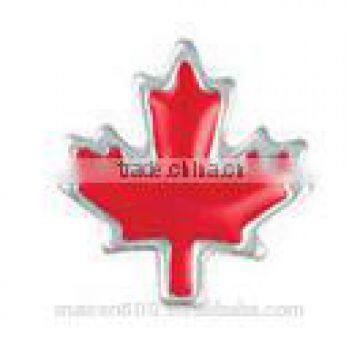 hot new products for 2015 floating charm