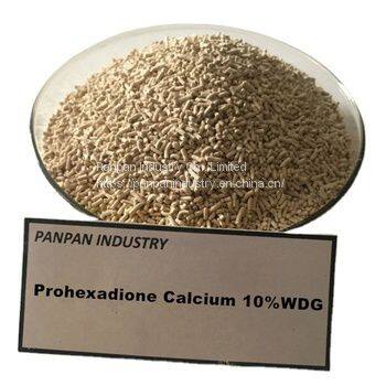 Agriculture Plant Growth Inhibitor Best Product Prohexadione Calcium 20wg Good Price photo-2