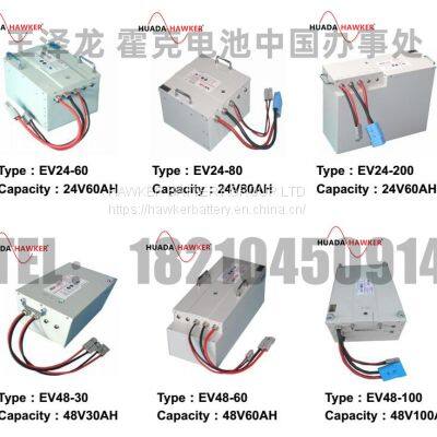BATTERY EV24-100 24V100Ah HAWKER AGV Vietnam LITHIUM BATTERIES photo-3