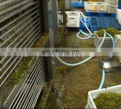 Best Cherry Stem Removing Machine Cherry /fruit Processing Machine photo-3