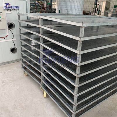 Energy-saving Vegetables Fruits Drying Processing Line photo-5