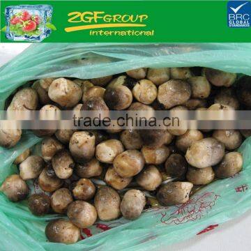 Good Quality Frozen Straw Mushrooms