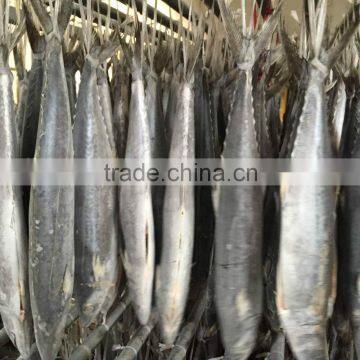 2015 Hung Frozen Spanish Mackerel Whole Gutted