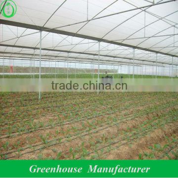 greenhouse farming