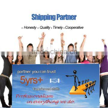 International DHL UPS EMS TNT ARAMEX Air Freight From Shenzhen to Saudi Arabia photo-2