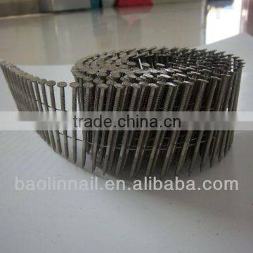 Stainless Steel Coil Nails