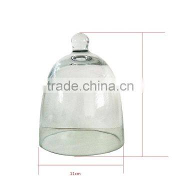 Glass Lamp Shade /Covers Domes