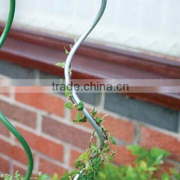 tomato spiral screw wire rod support plant support