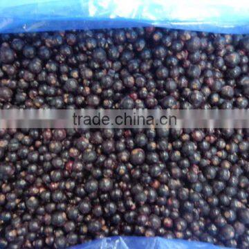 IQF frozen Black currant with good quality and hot price