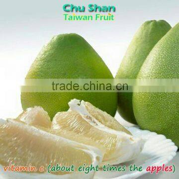 Best quality fresh pomelo