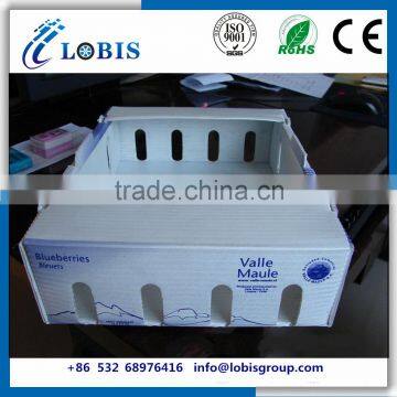 PP Plastic Corrugated Box, Food Grade