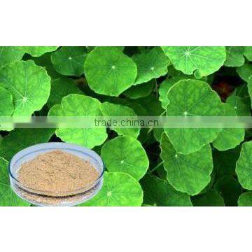 Hydrocotyle asiatica Extract