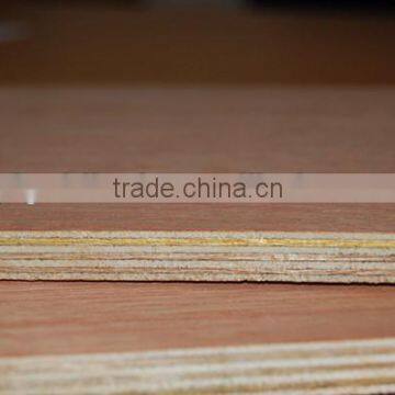 3mm plywood bintangor with low price and high quality