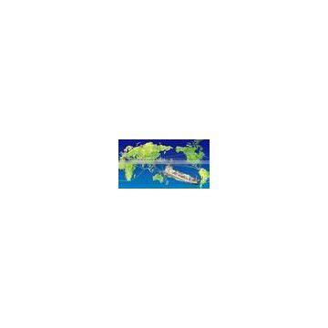  china lcl freight agent from china to Argel