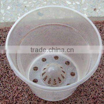 plastic clear pots