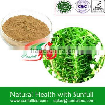 super Rosemary herb extract 10% Carnosic acid