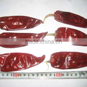 spicy Chilli