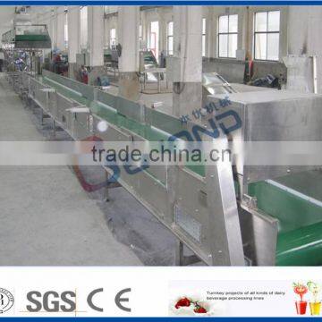 model PDSS-P250 orange apple mango pear belt conveyor