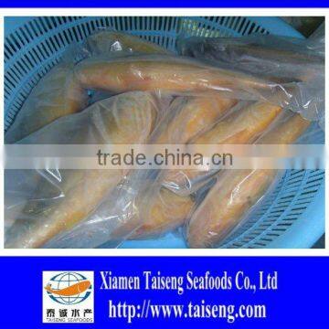 On Sale IQF Frozen Yellow Corvina Fish