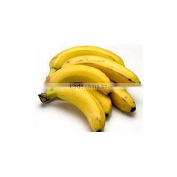 Fresh Yellow Banana photo-3