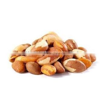 Brazil Nut