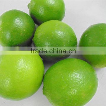 High Quality Fresh Lime 2016,