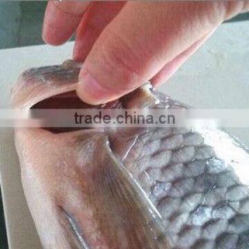 High Quality Seafood Product Red And Black Frozen Tilapia