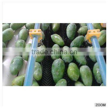 Fresh Mango (Processed / Washed) photo-2