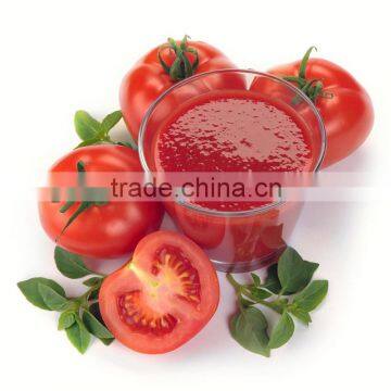 Tomato Paste 198g With Easy Open or Normal Open Lid Turkish Tomato Paste photo-2