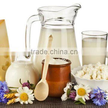 hot sale high quality lactose powder