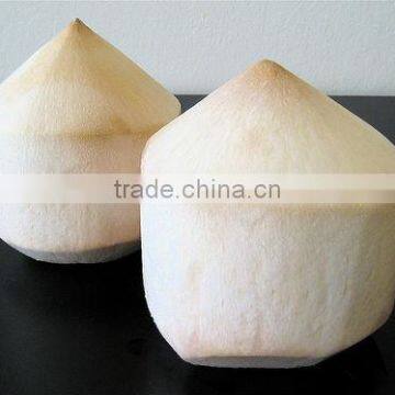 Fresh Coconut