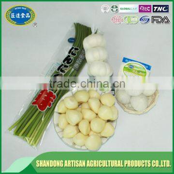 Super Quality Fresh Garlic photo-5