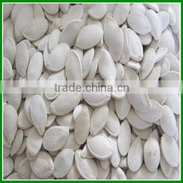 2015 Best Quality Medium Size Roasted Snow White Pumpkin Seeds For Sale