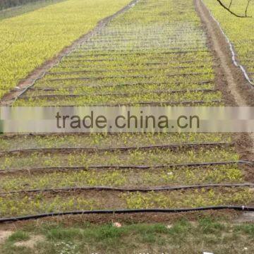 drip irrigation Micro spray tape