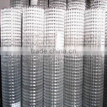 1/2inch Square wire mesh