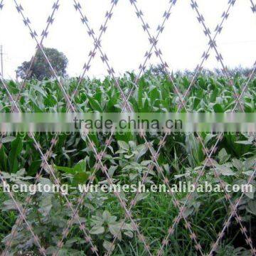 Electric Razor Wire Barbed Wire