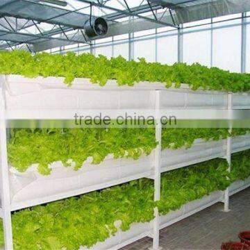 Soiless Cultivation Hydroponic Growing System