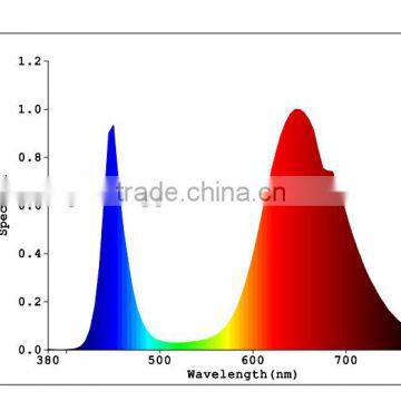 2017 20w Full Spectrum Wavelength 380 840nm Cob Led Grow Bead for Diy Indoor Plant Flower and Veg Growing photo-6