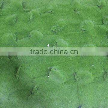 Artificial Moss Grass Wall for Decoration Real Artificial Moss Mat photo-4