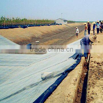 Supply Geosynthetic Clay Liner Used in Artificial Lake photo-4