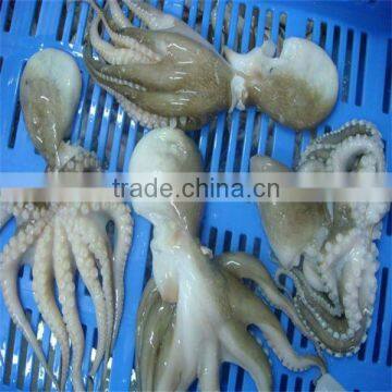 seafood with frozen baby octopus whole cleaned