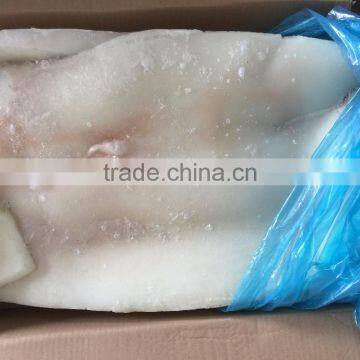 Frozen Giant Squid Fillets photo-5