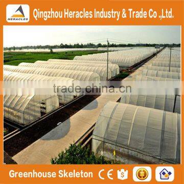 Heracles Low Cost Vegetable Seeds Greenhouse / Hoop House photo-5