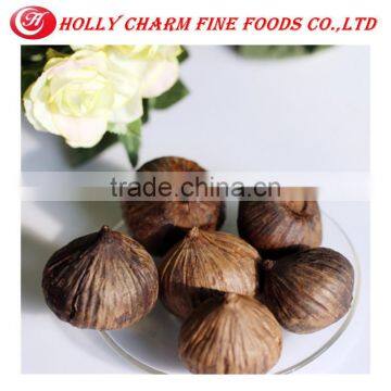 China supplier best healthy black garlic