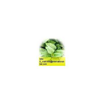 lemon balm extract