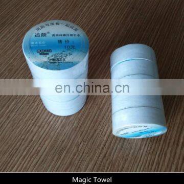 Compressed Coin Disposable Towel